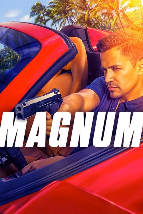 Magnum streaming gratuit vf vostfr 